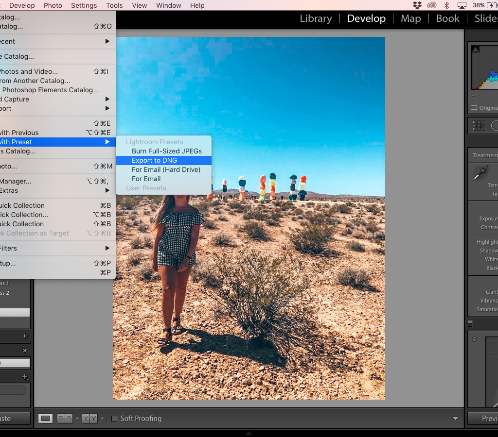 Export the file to DNG files